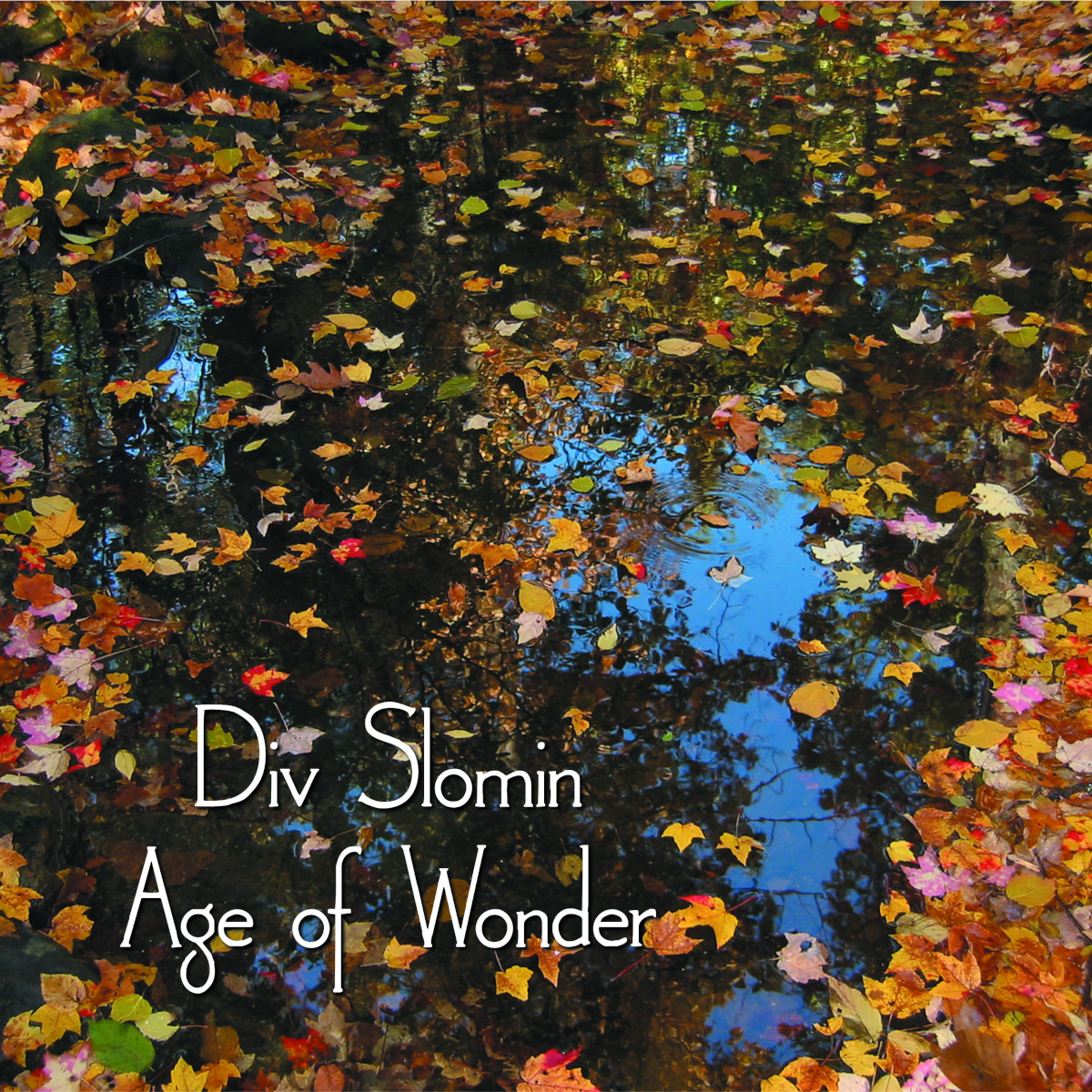 Div Slomin - Age of Wonder