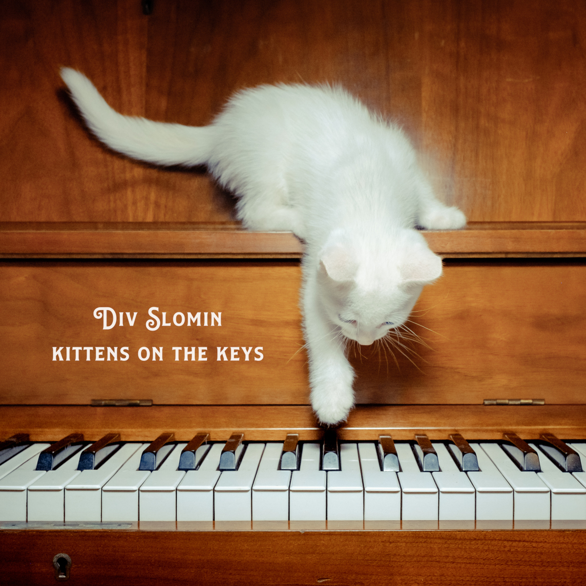 Div Slomin - Kittens on the Keys